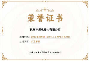 丰坦机器人