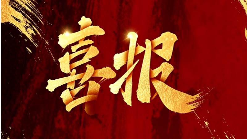 丰坦机器人